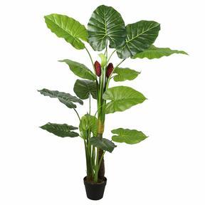 Arbre artificiel Colocasia en fleurs 140 cm