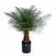 Palmier artificiel Date 170 cm