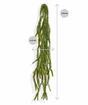 Asperges artificielles en vrille 60 cm