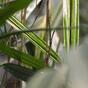 Bambou artificiel 70 cm