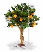 Bonsaï artificiel Citron orange 65 cm