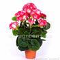 Bouquet artificiel Géranium rose clair 40 cm