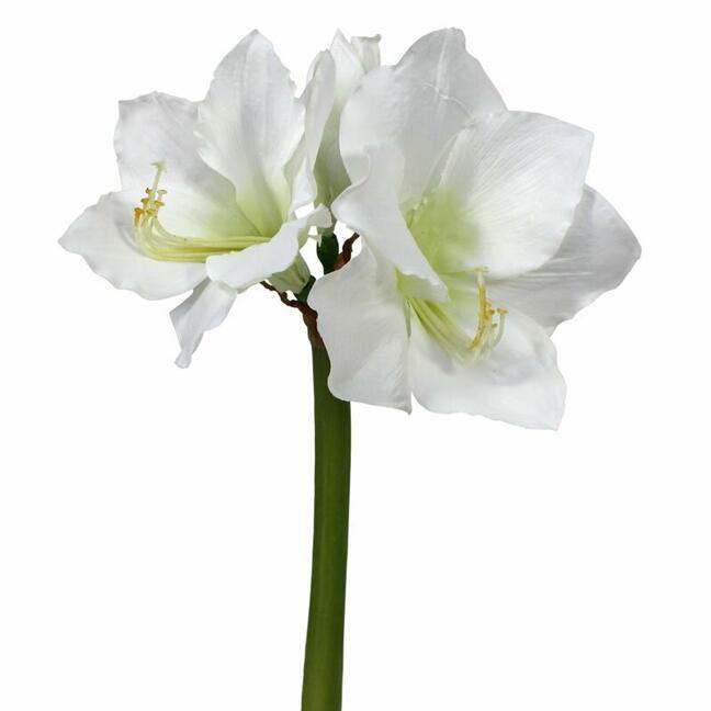 Branche artificielle Amaryllis blanc 55 cm