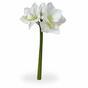Branche artificielle Amaryllis blanc 55 cm