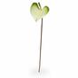 Branche artificielle Anthurium vert-blanc 50 cm