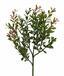 Branche artificielle Buxus 45 cm
