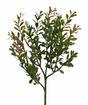 Branche artificielle Buxus 45 cm