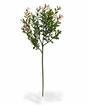 Branche artificielle Buxus 45 cm