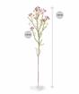Branche artificielle Chamelaucium uncinatum rose 65 cm