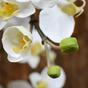 Branche artificielle d'Orchidée blanche 110 cm