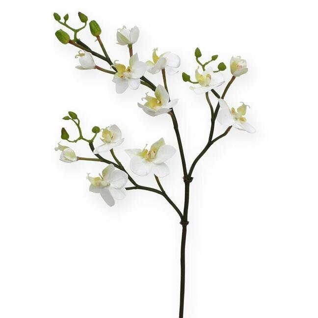 Branche artificielle d'Orchidée blanche 60 cm