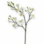Branche artificielle d'Orchidée blanche 60 cm