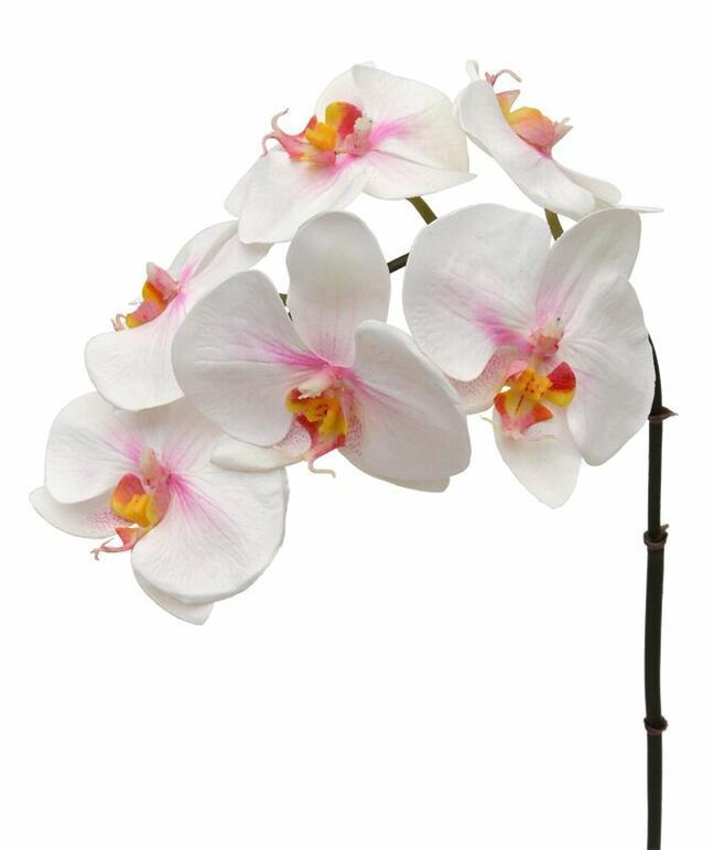 Branche artificielle d'Orchidée rose-blanc 55 cm
