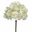 Branche artificielle Hortensia blanc 50 cm