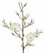 Branche artificielle Magnolia crème 100 cm