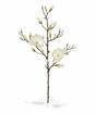 Branche artificielle Magnolia crème 100 cm
