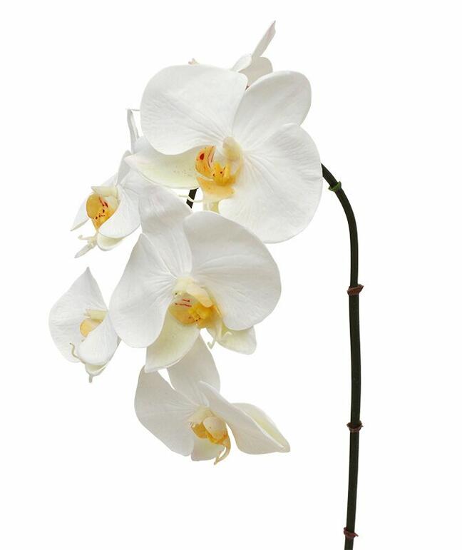 Branche artificielle orchidée blanche 55 cm