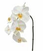Branche artificielle orchidée blanche 55 cm
