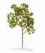 Branche artificielle Pin 35 cm