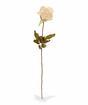 Branche artificielle Rose crème 60 cm