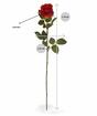 Branche artificielle Rose rouge 74 cm