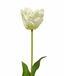 Branche artificielle Tulipe crème 70 cm