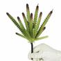 Cactus artificiel 21 cm