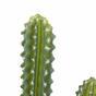 Cactus artificiel 69 cm