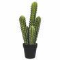 Cactus artificiel 52 cm
