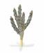 Cactus artificiel Tetragonus Marron 35 cm