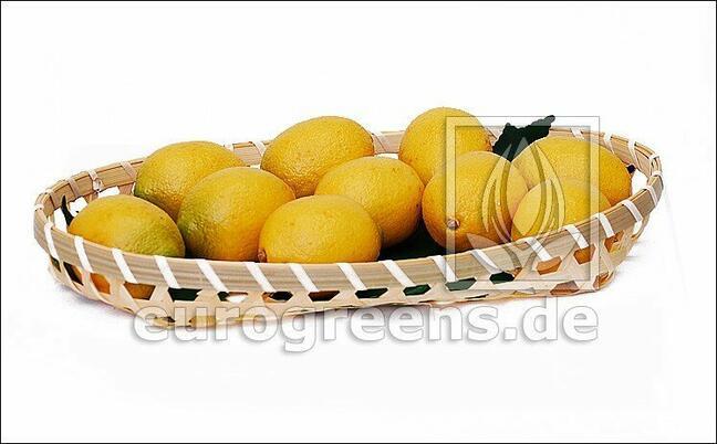 Citron artificiel