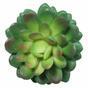 Echeveria Diamond 10 cm succulente artificielle