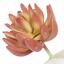 Echeveria succulente artificielle 10 cm