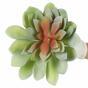 Echeveria succulente artificielle 21 cm
