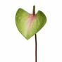 Feuille artificielle Anthurium rose-vert 50 cm