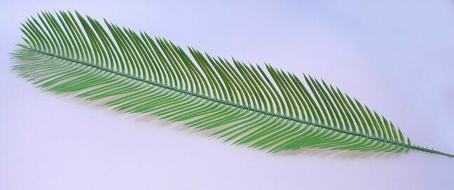 Feuille de palmier artificielle Cycas 80 cm