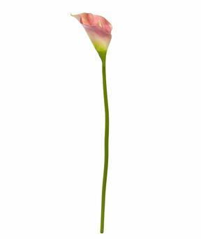 Fleur artificielle Kala rose 55 cm