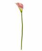 Fleur artificielle Kala rose 55 cm