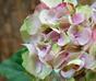 Fleur d'hortensia artificielle rose 45 cm