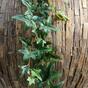 Guirlande artificielle Lierre 180 cm