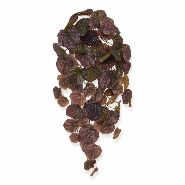 Guirlande artificielle Peperomia bordeaux 60 cm