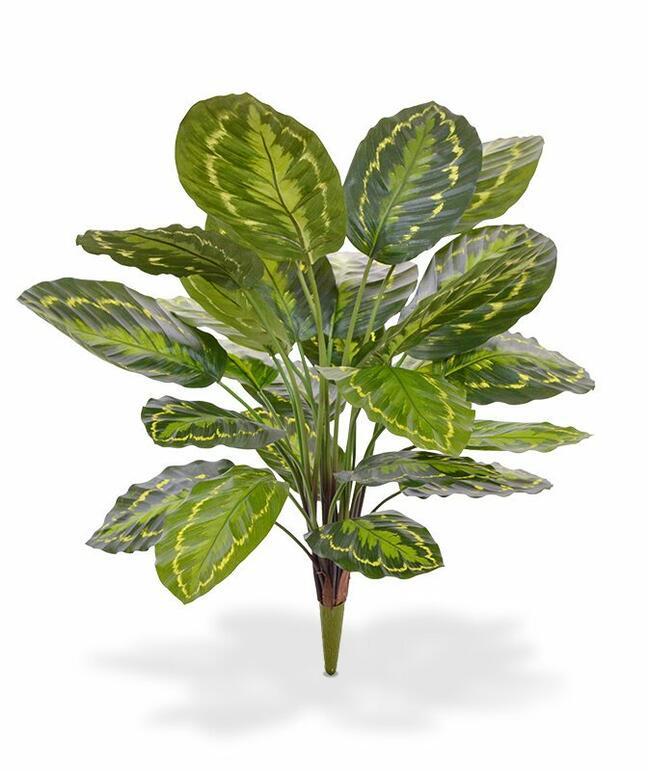 Kalatea plante artificielle 65 cm
