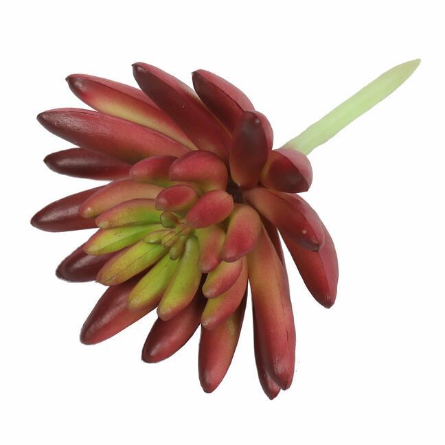 Lotus succulent artificiel Eševéria bordeaux 10,5 cm