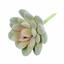 Lotus succulent artificiel Eševéria Elegans 9,5 cm