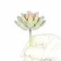 Lotus succulent artificiel Eševéria Elegans 9,5 cm
