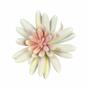 Lotus succulent artificiel Esheveria blanc 10,5 cm