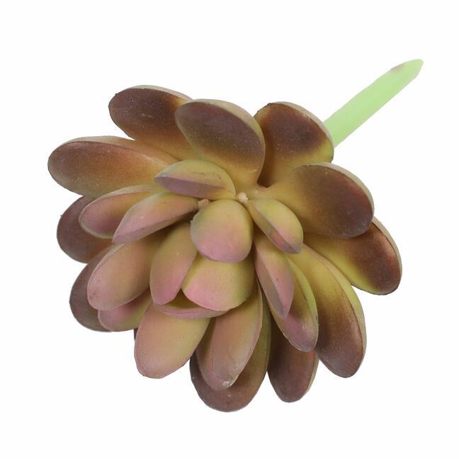 Lotus succulent artificiel Graptopetalum 9,5 cm