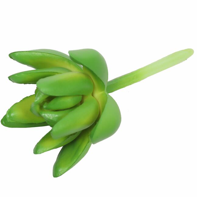 Lotus succulent artificiel Sedum 10 cm