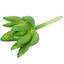 Lotus succulent artificiel Sedum 10 cm