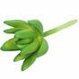 Lotus succulent artificiel Sedum 10 cm